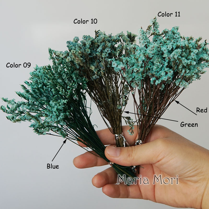 5g/สีสัน Dired เก็บรักษาไว้คริ - Candle Making Uk บทวิจารณ์และราคา