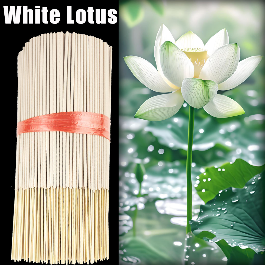 ธูปหอมดอกบัวสีขาวคุณภาพสูง ขนา - Candle Making Uk บทวิจารณ์และราคา