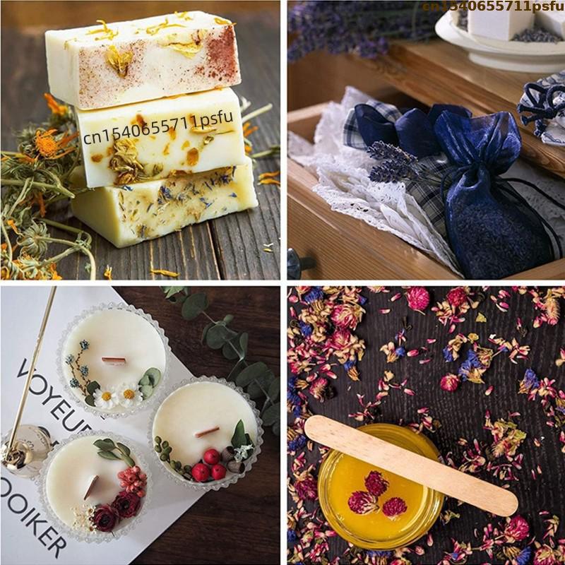 ดอกกุหลาบแห้งคุณภาพสูง 4 ชนิด  - Candle Making Uk บทวิจารณ์และราคา
