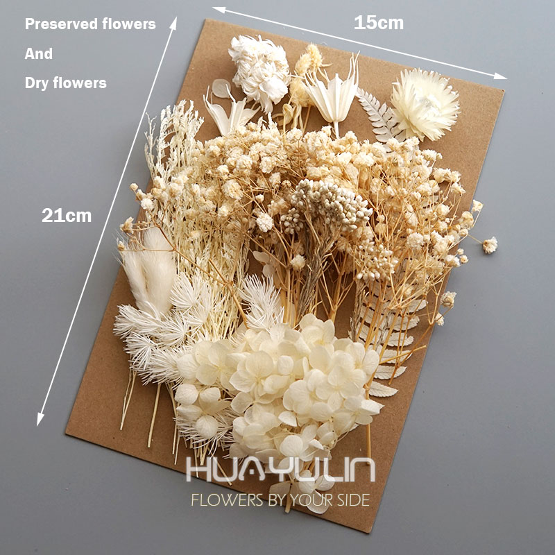 1 แพ็คพืชประดิษฐ์แห้งดอกไม้จริ - Candle Making Uk บทวิจารณ์และราคา